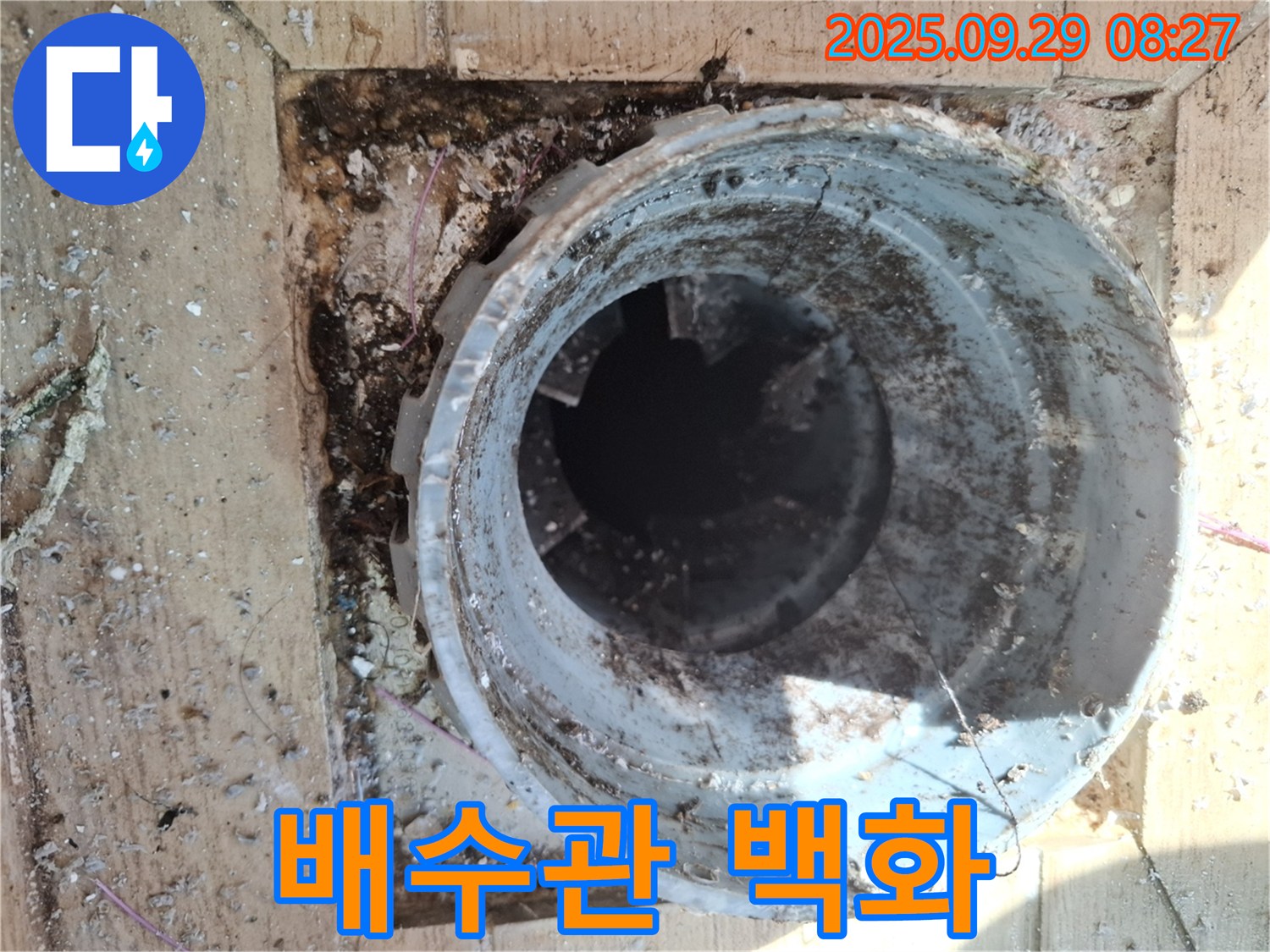양주시 광적면 우고리 - 배수관 주변 백화현상 발생 원인 분석