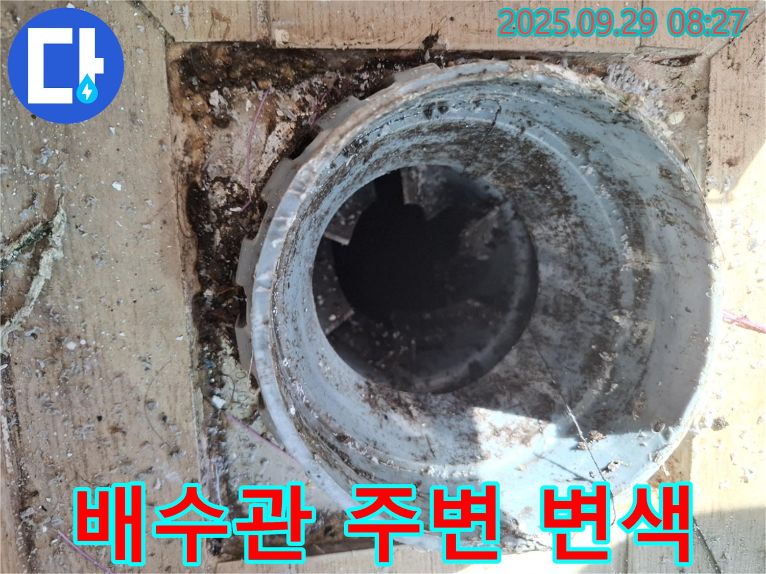 양주시 광적면 우고리 - 배수관 주변 변색으로 인한 누수 가능성 조사