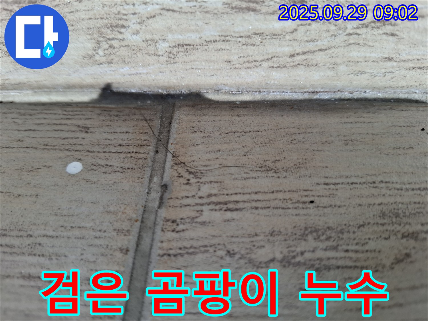 양주시 누수 - 타일 틈새 검은 곰팡이 누수, 곰팡이 제거와 누수 해결을 동시에!
