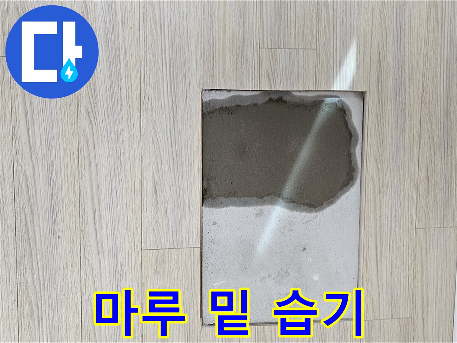 도봉구 도봉동 현대시티 마루 밑 - 습기, 누수 초기 증상 의심