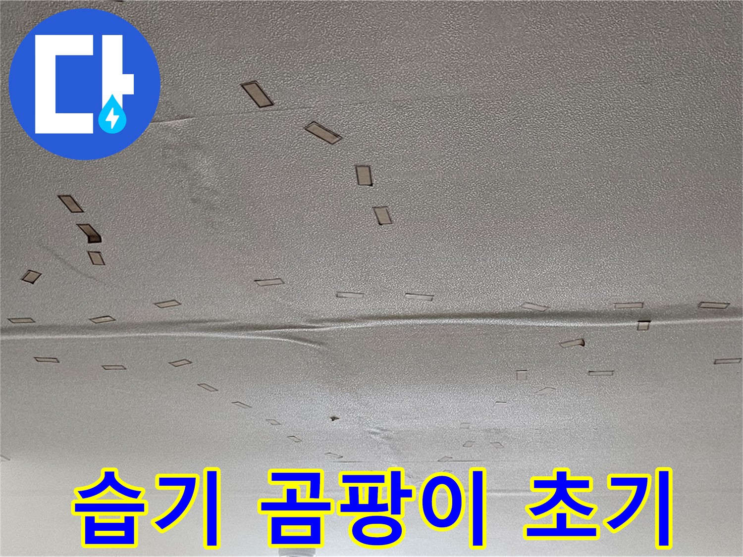 도봉구 도봉동 현대시티 아파트 - 천장 습기 - 곰팡이 발생 초기