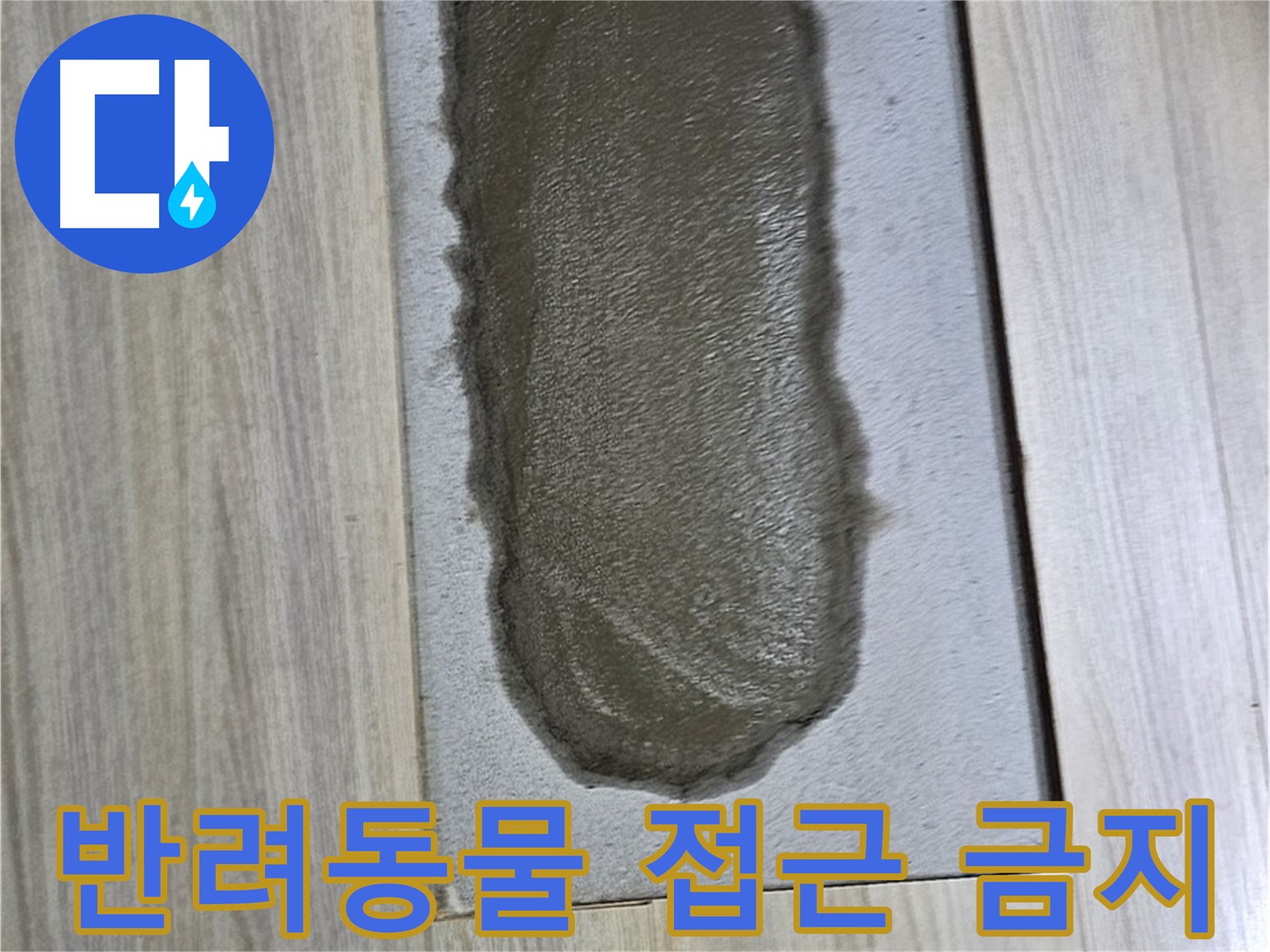도봉구 현대시티 누수 - 덜 굳은 시멘트, 반려동물 접근 금지!