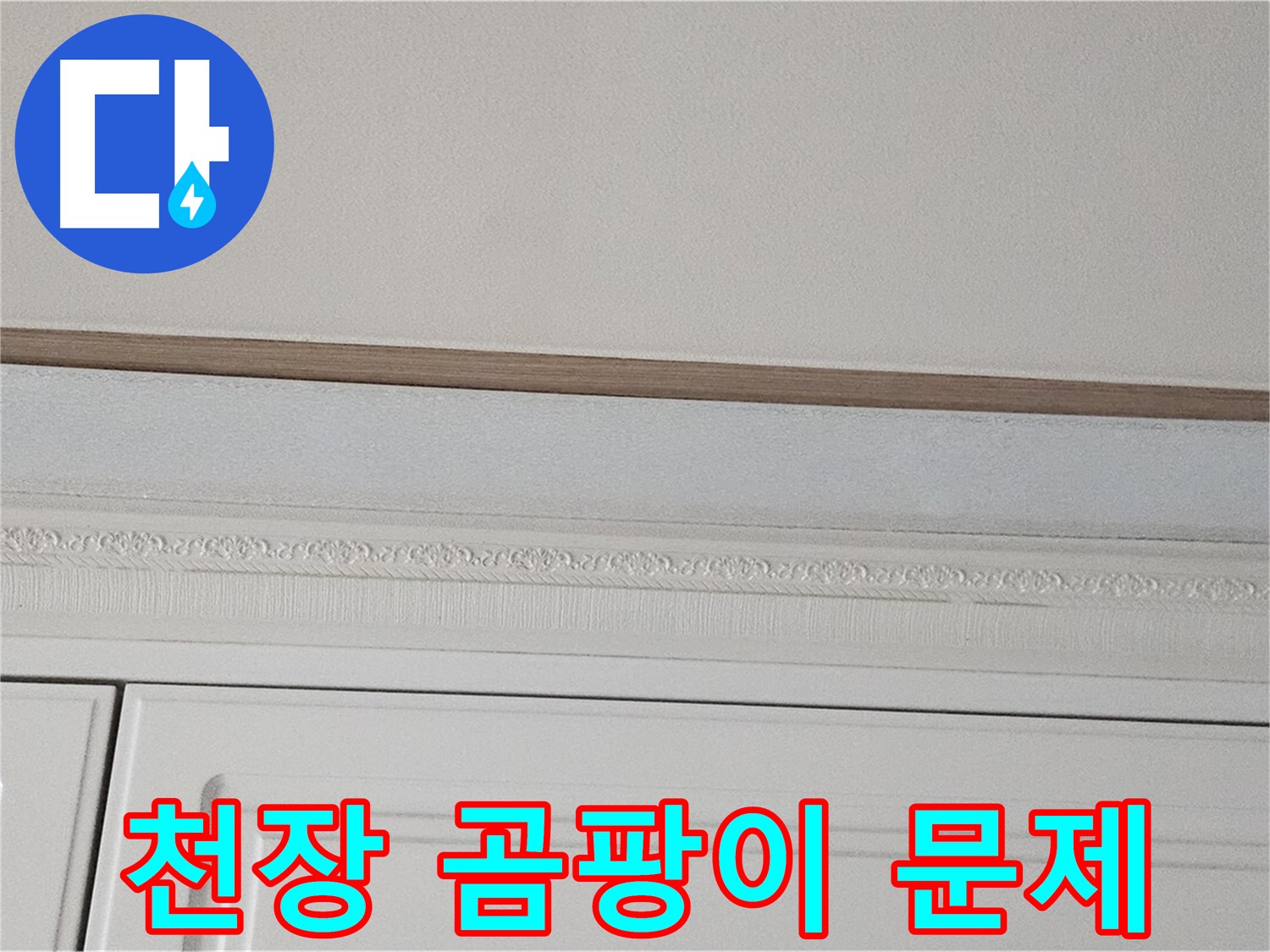 도봉구 현대시티 누수 - 붙박이장 위 천장 곰팡이 문제