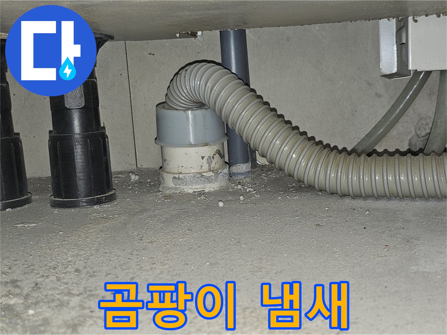 도봉동 누수 - 싱크대 하수구 배관 주변 곰팡이 냄새 발생