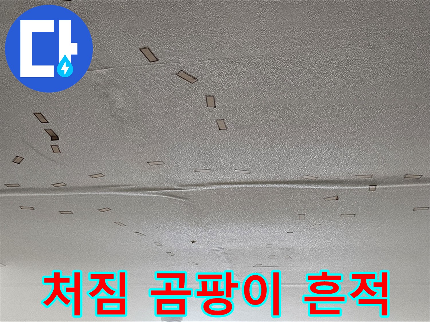 도봉동 현대시티 아파트 - 천장 처짐 - 곰팡이 - 누수 흔적 긴급 해결