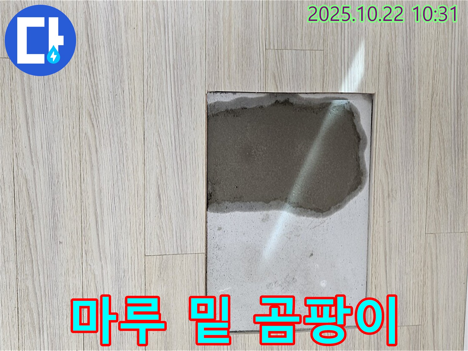 마루 밑 곰팡이 - 습기와 곰팡이 - 마루 밑 곰팡이의 심각성을 보여주는 이미지입니다.
