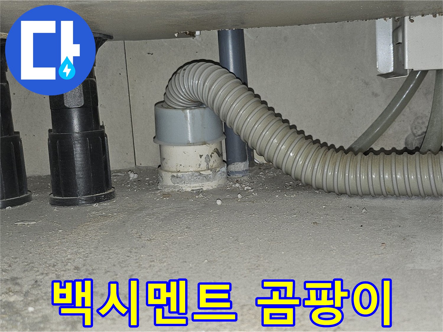 현대시티 누수 - 싱크대 하수구 백시멘트 곰팡이 발생
