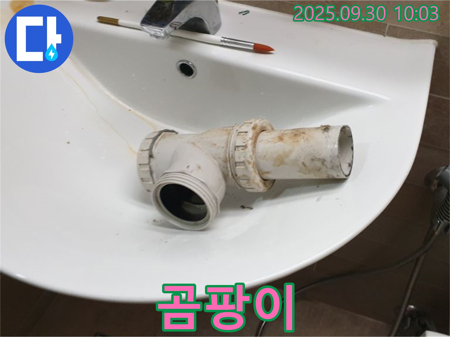 세면대 누수 곰팡이 - 건강에 해로운 곰팡이, 광적면 석우리 누수