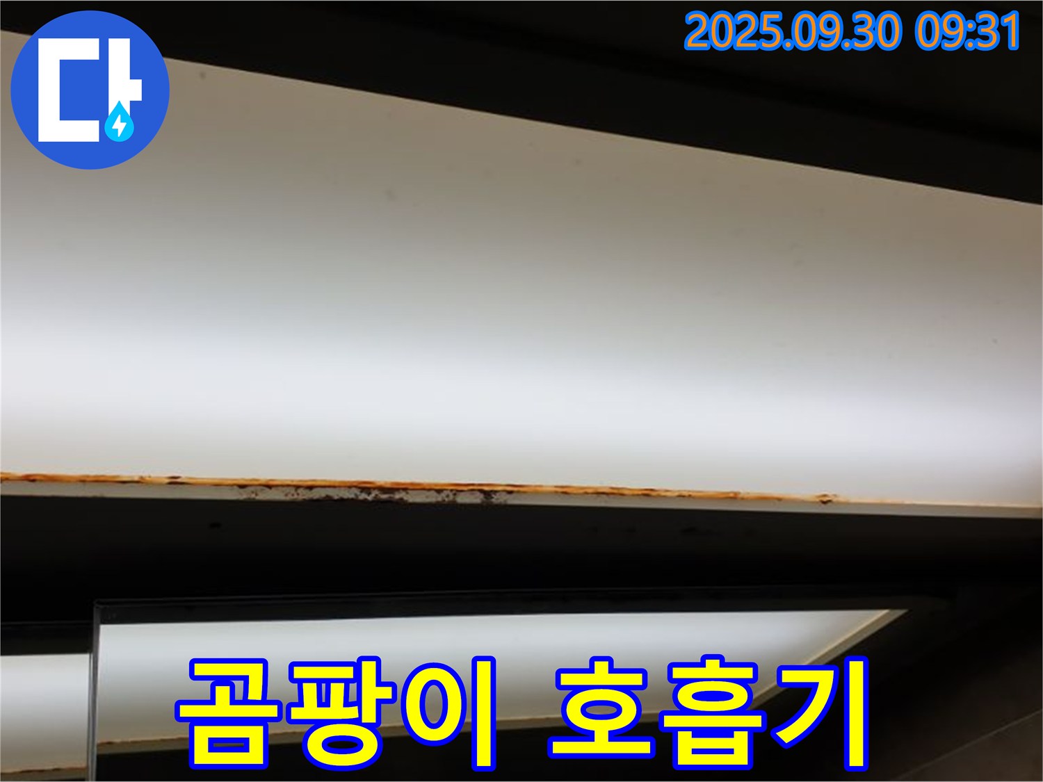 양주 광적면 석우리 누수 - 형광등 곰팡이! 호흡기 질환 유발
