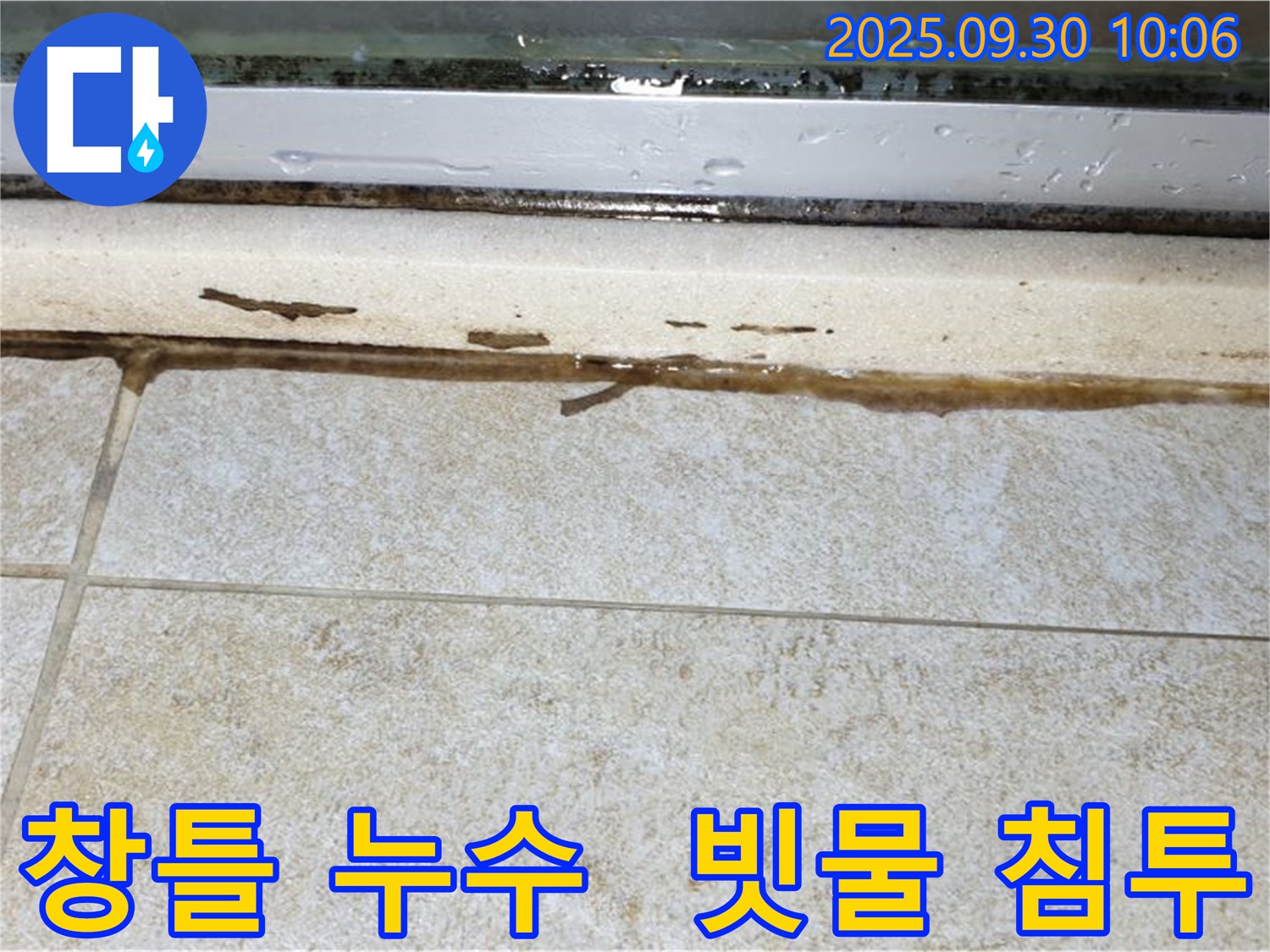 창틀 실리콘 손상으로 인한 빗물 누수 - 곰팡이 발생 위험 증가