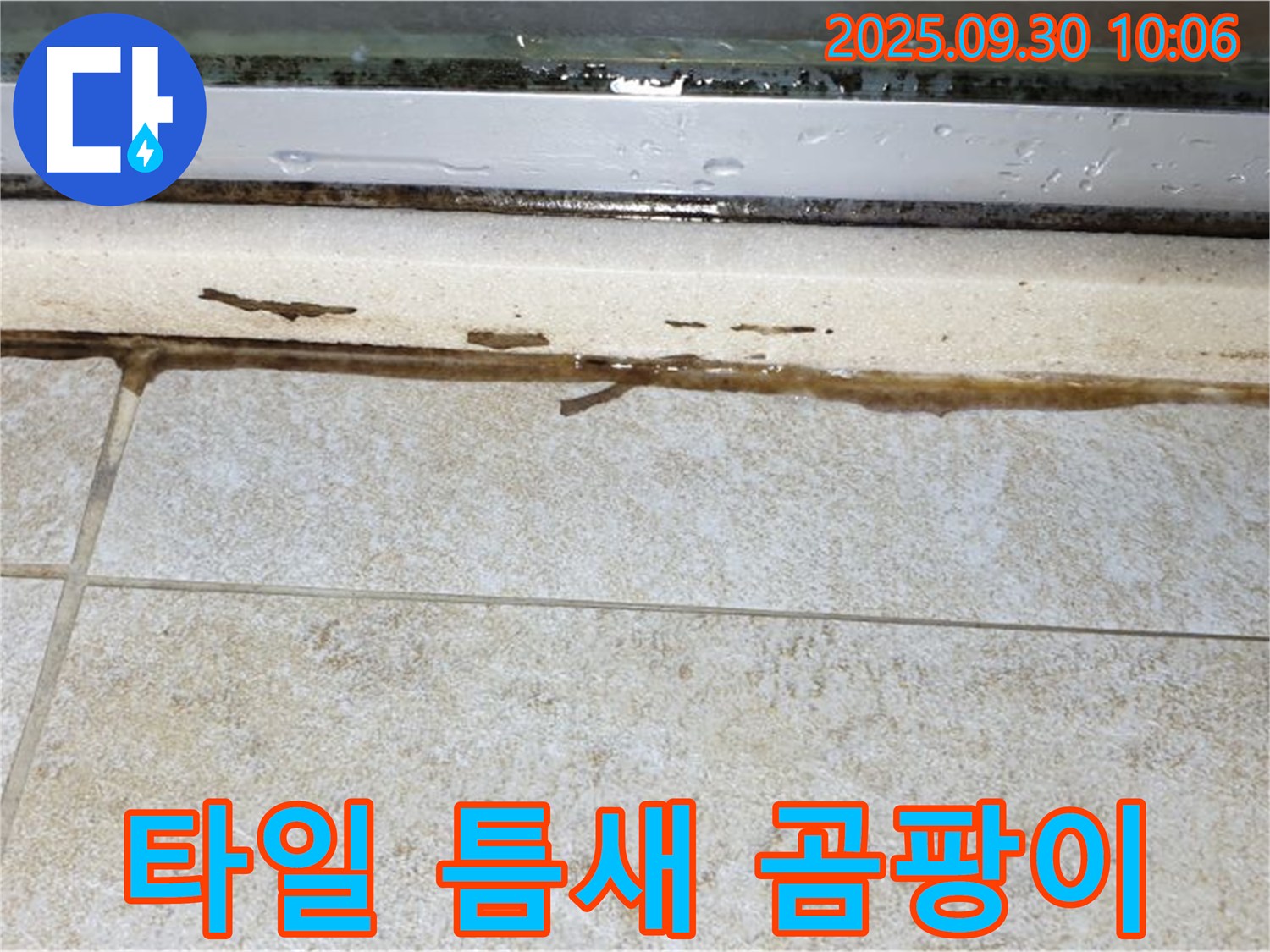 타일 틈새 곰팡이 - 누수와 습기의 콜라보, 건강을 위협합니다