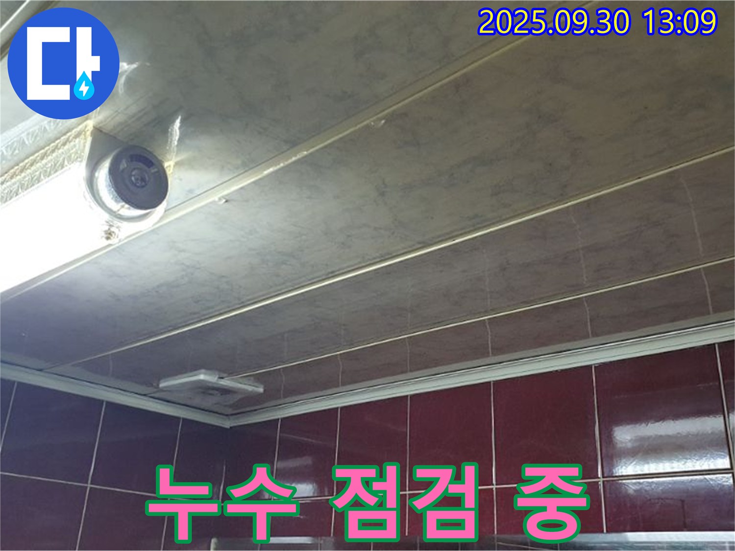 덕도리 텍스 천장 누수 점검 중 - 누수탐지 전문가가 꼼꼼하게 누수 지점을 확인하고 있습니다.