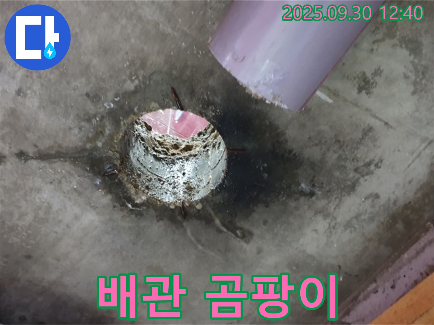양주시 광적면 누수 - 하수구 배관 주변 곰팡이 발생 확인