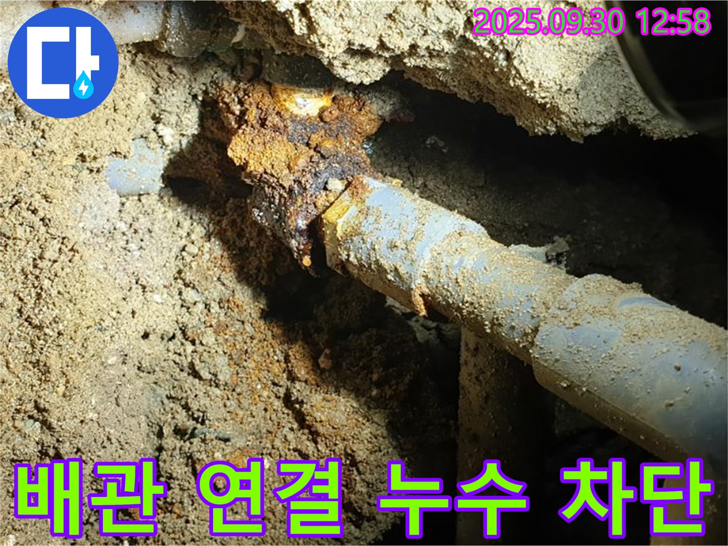 양주시 광적면 효촌리 누수 현장 - 땅속 낡은 배관 연결 부위에서 발생하는 누수를 완벽하게 차단하고 깔끔하게 정리된 모습입니다.