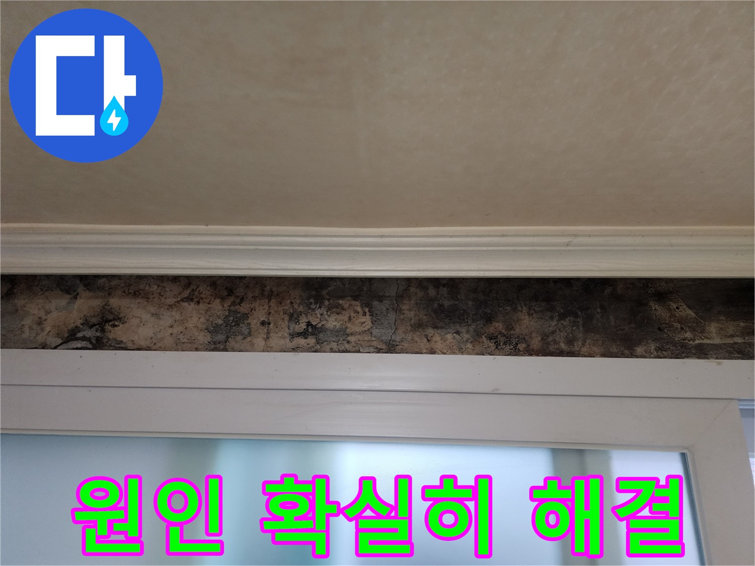 노원구 공릉동 누수 해결 - 창틀 곰팡이 발생 원인 분석 및 제거 시공