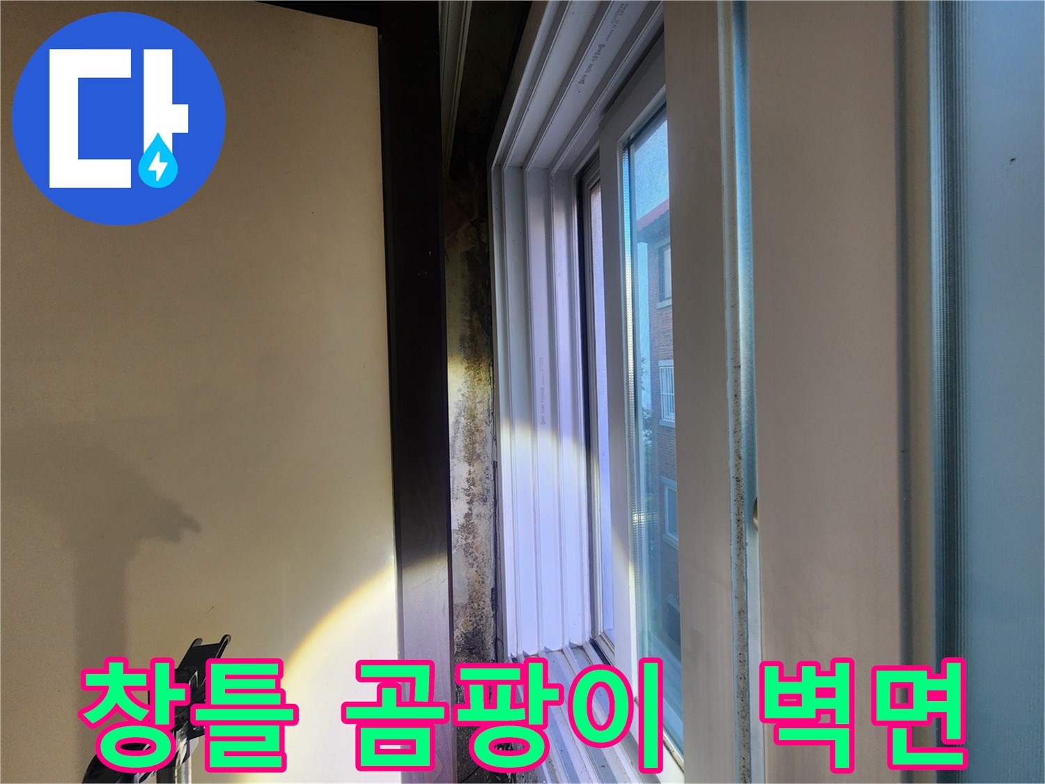 창틀 하단 곰팡이 발생 및 벽면 손상 - 공릉동 누수 긴급 보수 필요