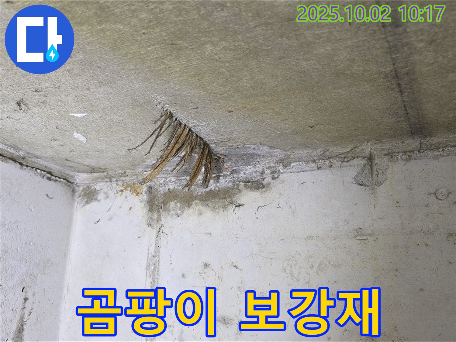 양주 신산리 콘크리트 천장 - 젖은 섬유 보강재, 곰팡이 발생