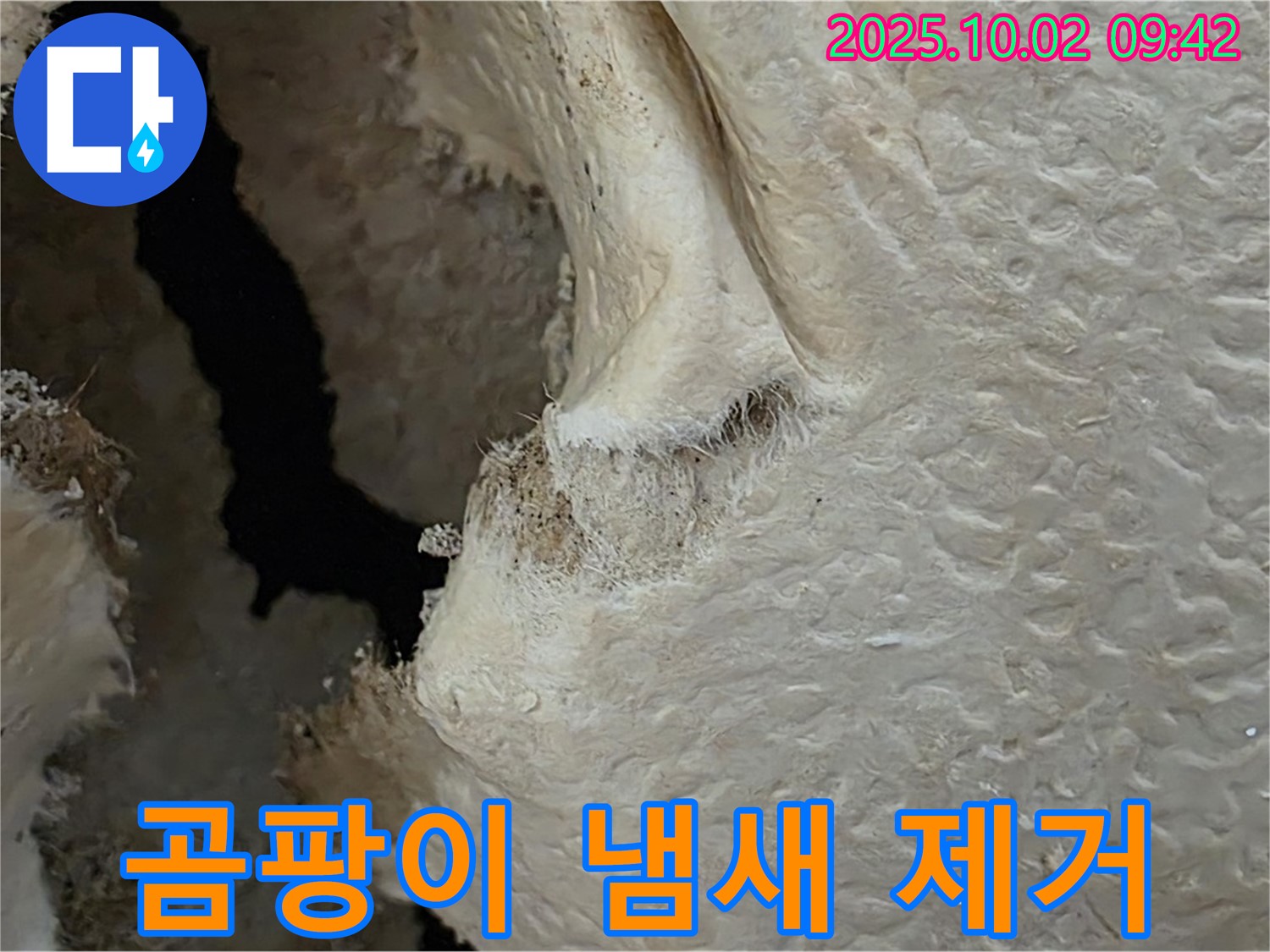 양주시 남면 신산리 주택 곰팡이 냄새 제거 - 곰팡이 냄새의 원인을 제거하고 탈취 서비스를 제공합니다.