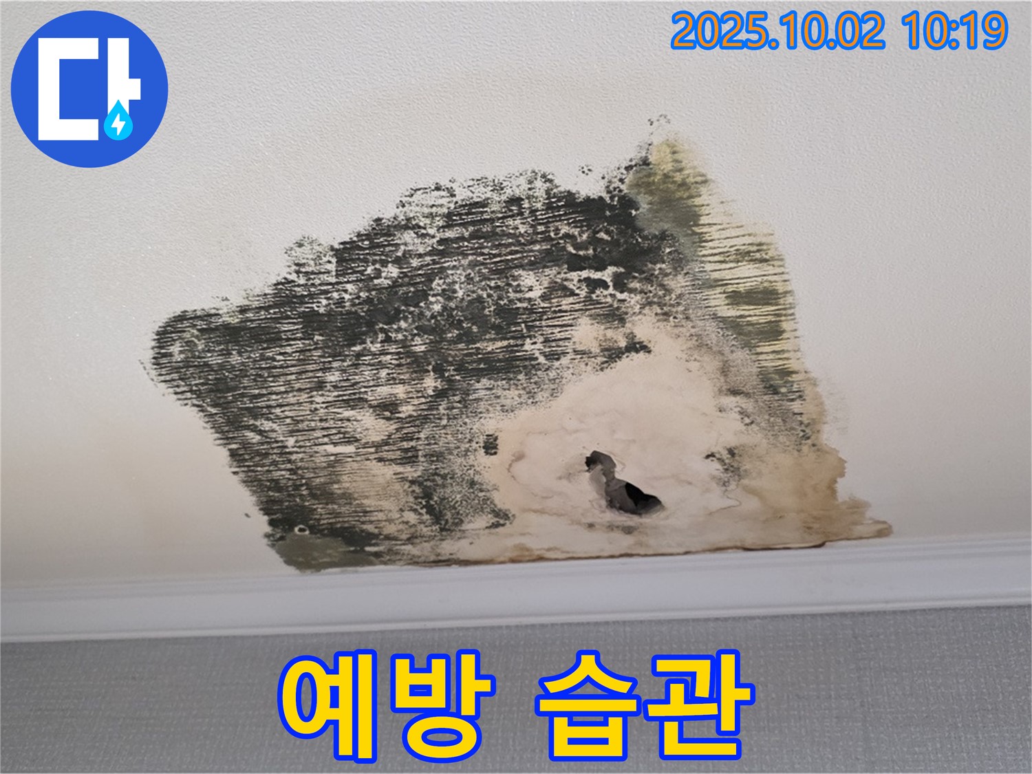 양주시 남면 신산리 주택 누수 예방을 위한 생활 습관 - 습도 조절, 환기 등 꾸준한 관리가 중요합니다.