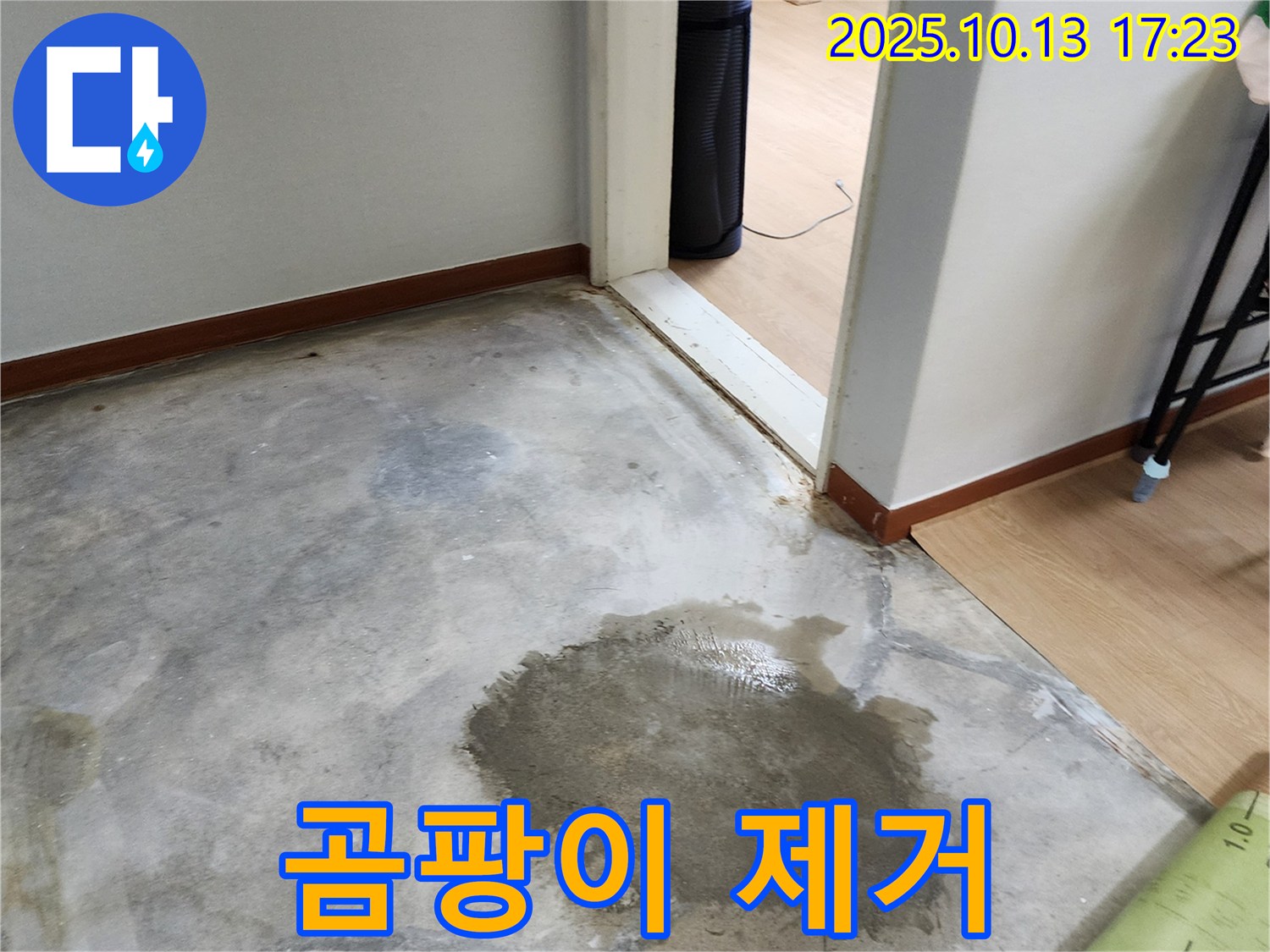 곰팡이 제거 - 누수 후 곰팡이 제거 작업 - 깨끗하고 건강한 환경