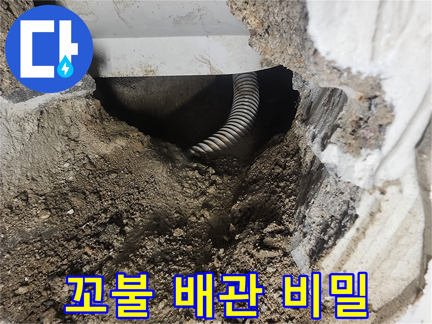 당산동 래미안 1차 아파트 욕조 누수 - 꼬불꼬불한 배관 속에 숨겨진 누수의 비밀