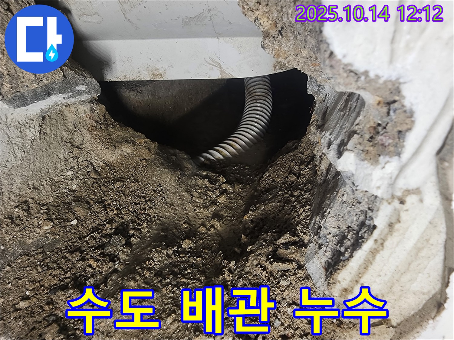 당산동 래미안1차 아파트 누수 - 외부 수도 배관 연결 부위에서 발생한 누수를 해결하는 모습입니다.