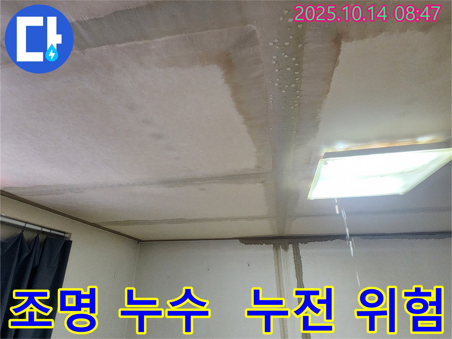양주시 남면 두곡리 천장 누수 - 조명 주변 물방울, 누전 위험 경고