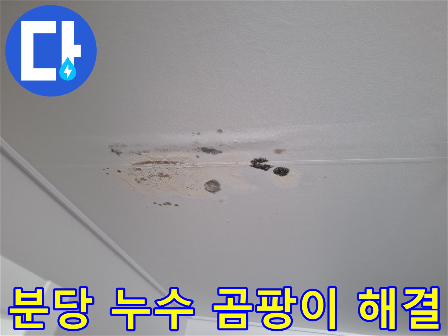 곰팡이 핀 천장 - 누수 해결이 우선, 곰팡이 제거는 그 다음