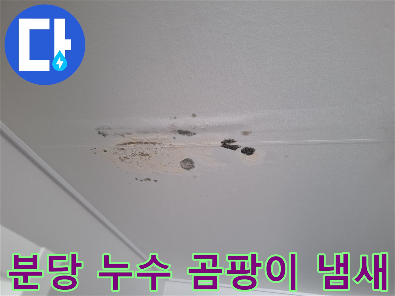 누수 해결 - 곰팡이 냄새 제거, 쾌적하게
