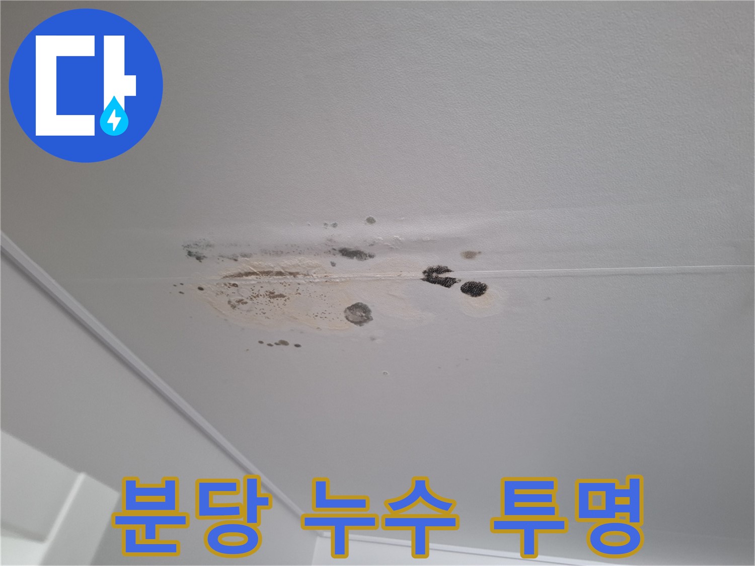 누수 해결 - 합리적 견적, 투명한 시공 약속!