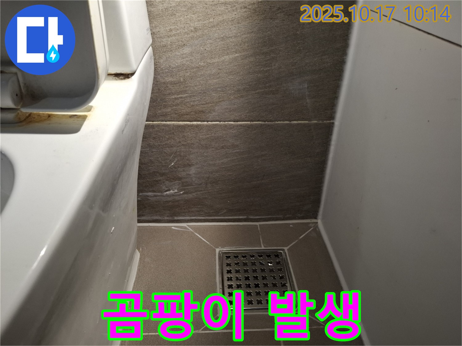 배수구 주변 타일 틈새 실리콘 손상 - 곰팡이 발생으로 인한 건강 문제 우려