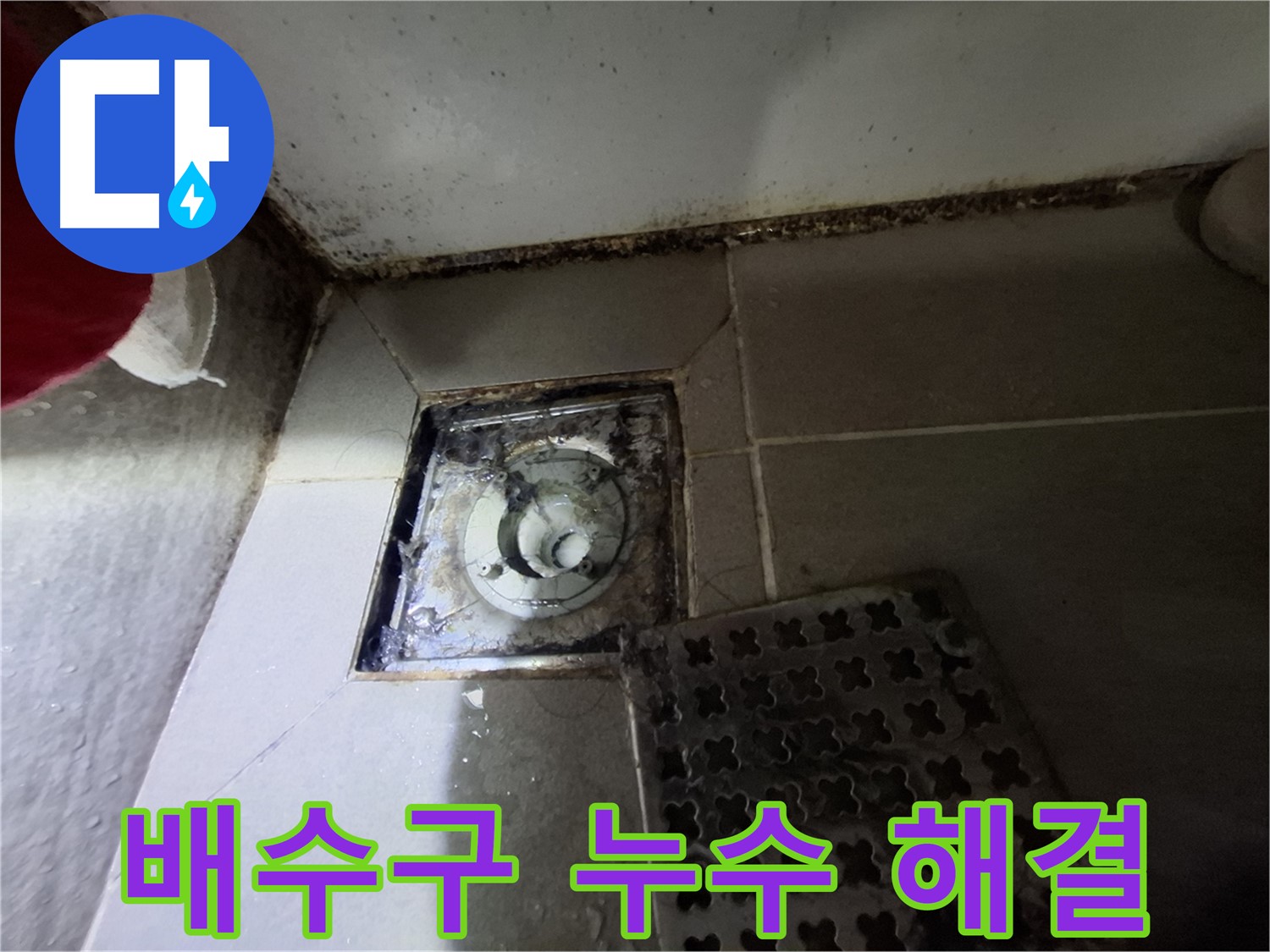 봇들마을 아파트 욕실 배수구 누수 - 전문적인 기술로 완벽하게 해결