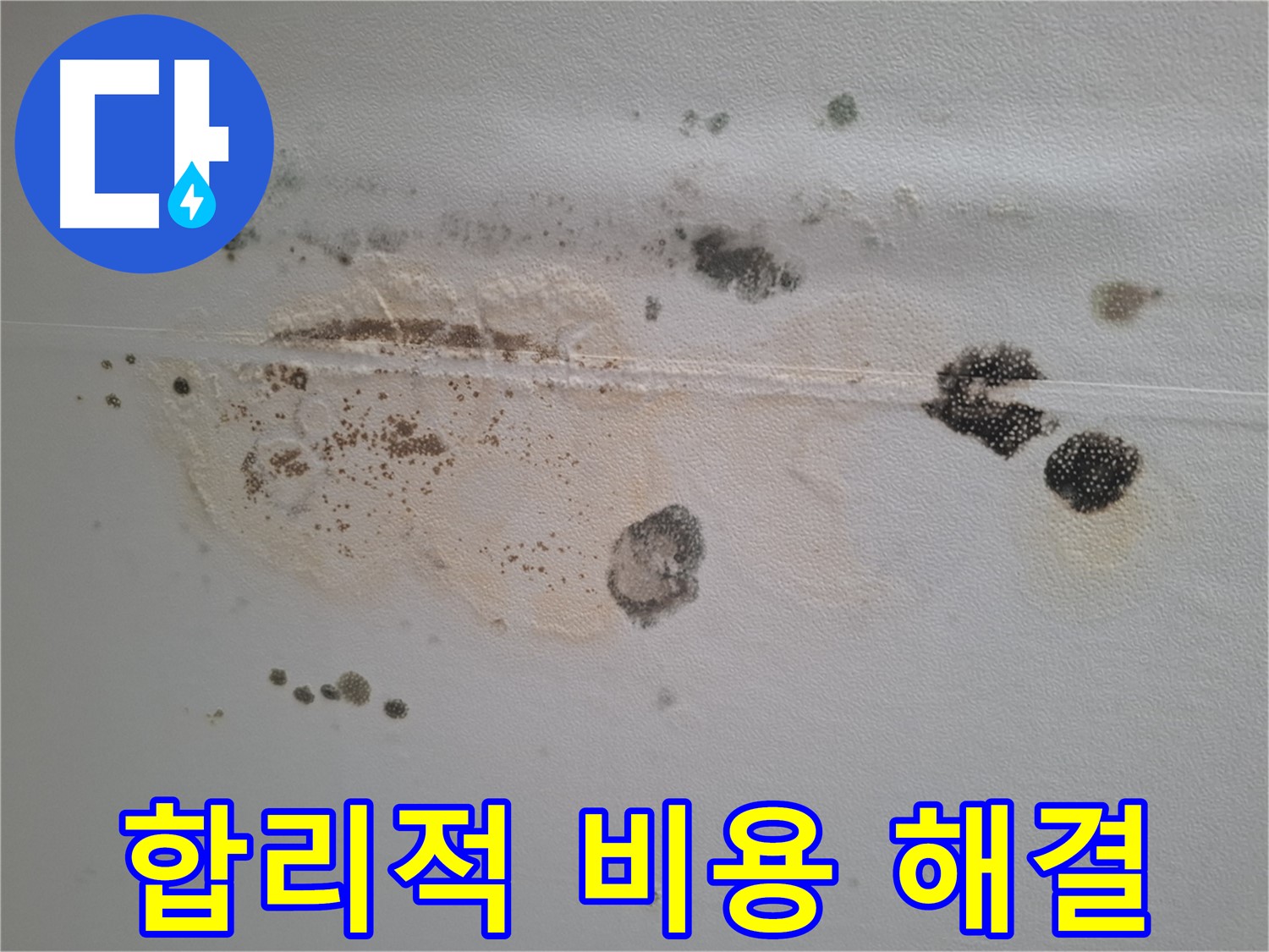 분당 곰팡이 누수 - 삼평동 봇들마을, 합리적인 비용으로 곰팡이 문제 해결