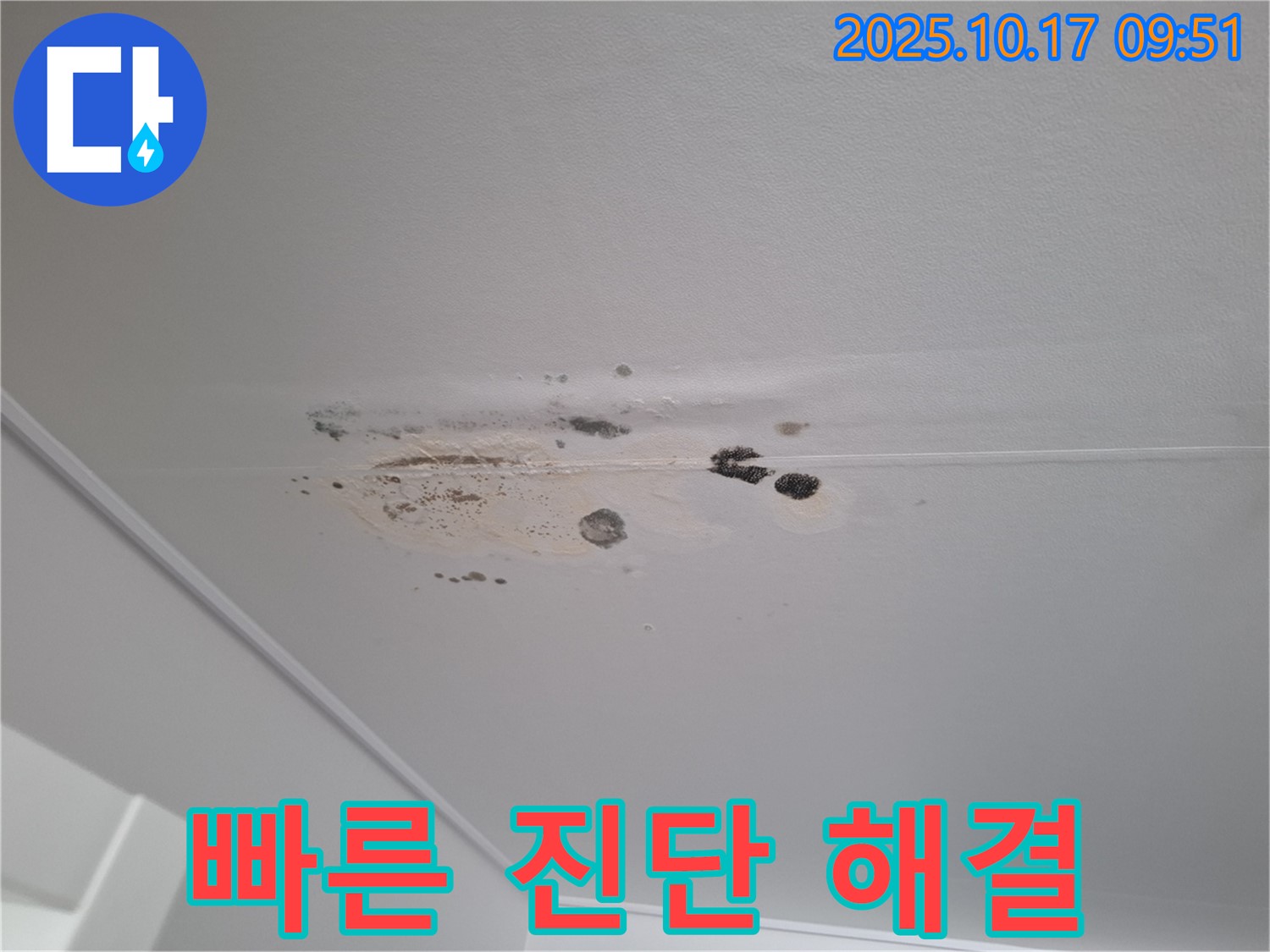 분당 누수 - 곰팡이 핀 천장 - 누수 문제, 빠른 진단과 해결이 중요