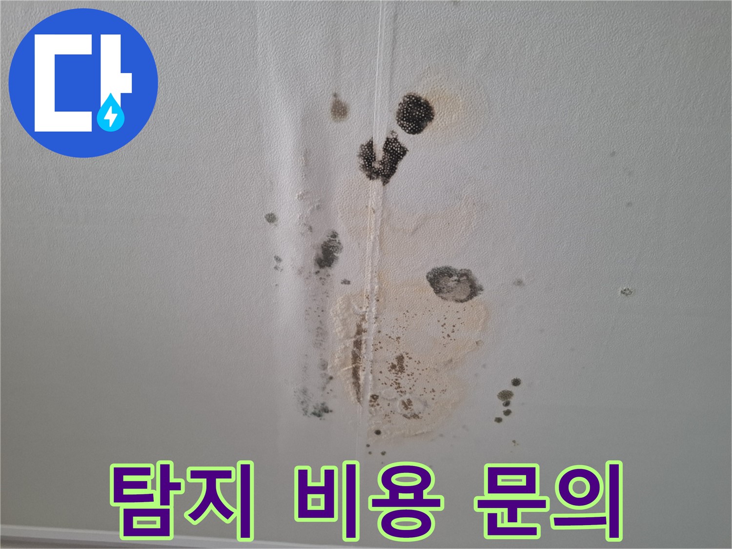 분당 누수 - 누수 탐지 비용 문의 환영