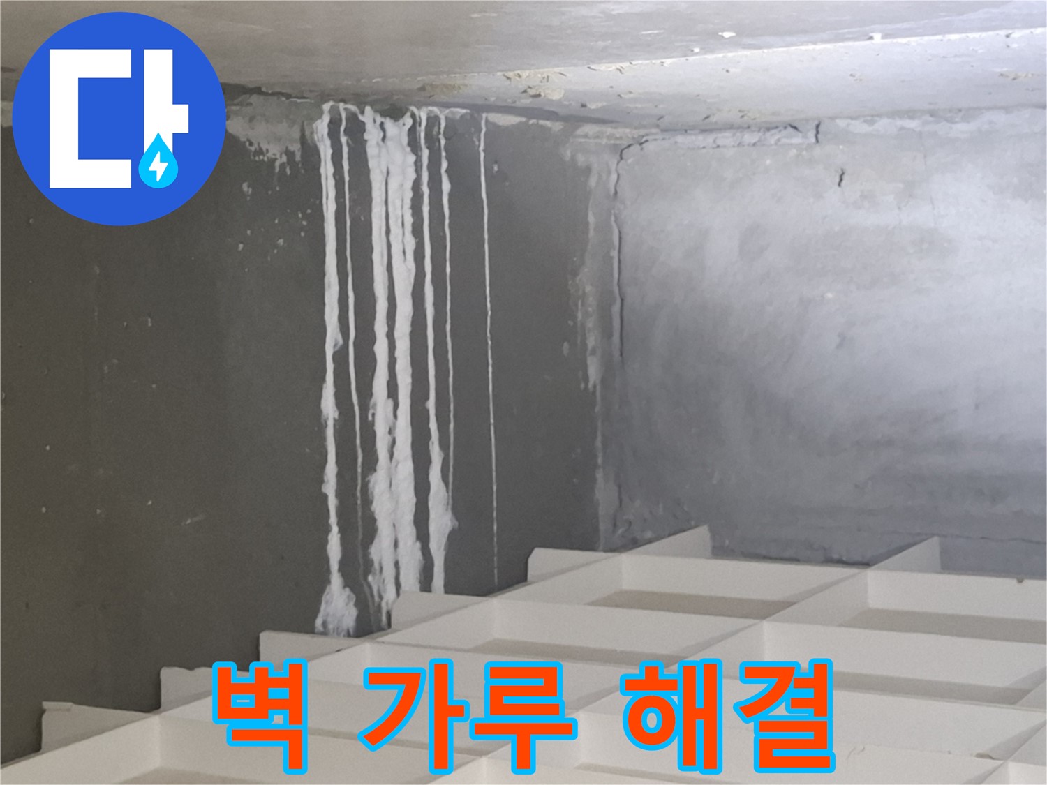 분당 누수 - 삼평동 아파트 벽에 맺힌 하얀 가루 문제, 진단부터 시공까지 원스톱 솔루션 제공