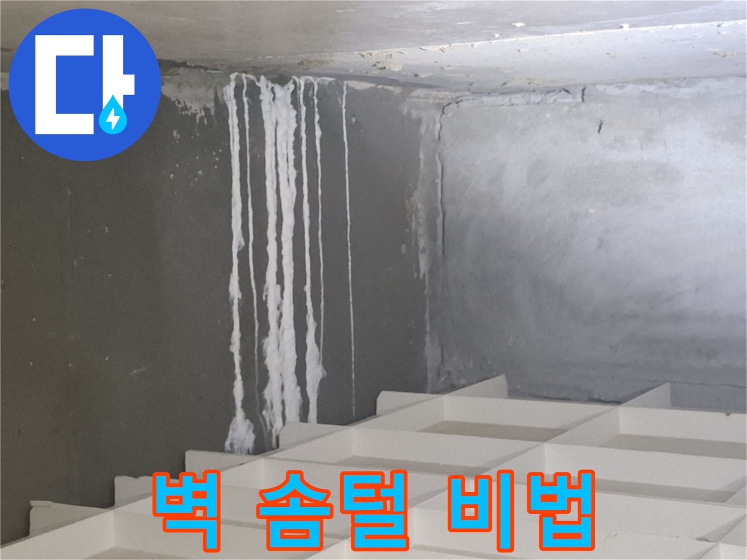 분당 누수 - 삼평동 아파트 콘크리트 벽에 생긴 솜털을 완벽하게 해결하는 전문 업체의 특별한 노하우