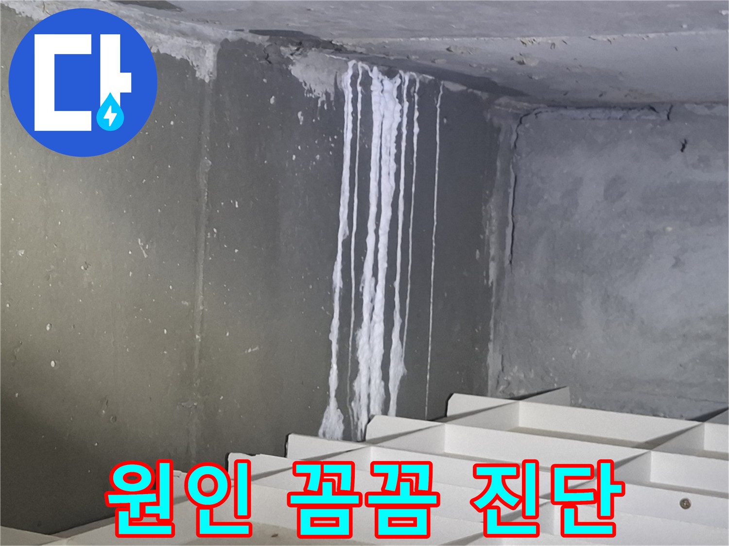 분당 봇들마을 아파트 누수 - 주차장 누수 원인을 꼼꼼하게 진단