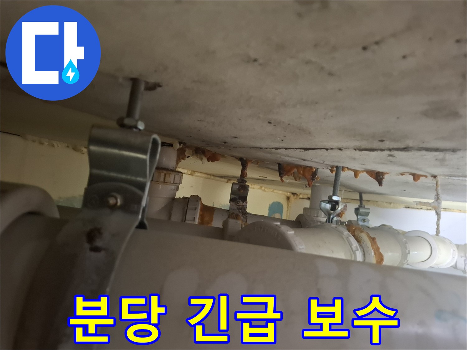 분당 봇들마을 아파트 - 배관 연결 부위 누수, 긴급 누수 보수 진행, 피해 최소화