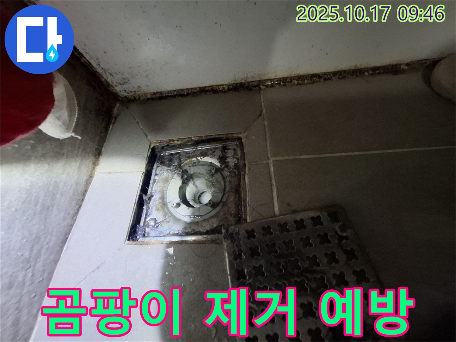 분당 봇들마을 아파트 - 욕실 배수구 곰팡이 제거 - 누수 사전 진단 - 예방 솔루션 제공 - 쾌적한 욕실 환경을 위한 최고의 선택.
