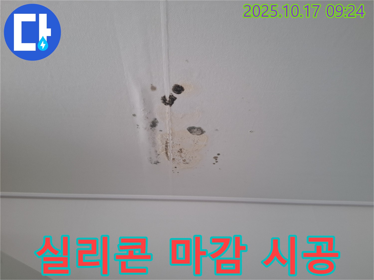분당 봇들마을 아파트 천장 누수 - 곰팡이 제거 후 실리콘 마감 시공