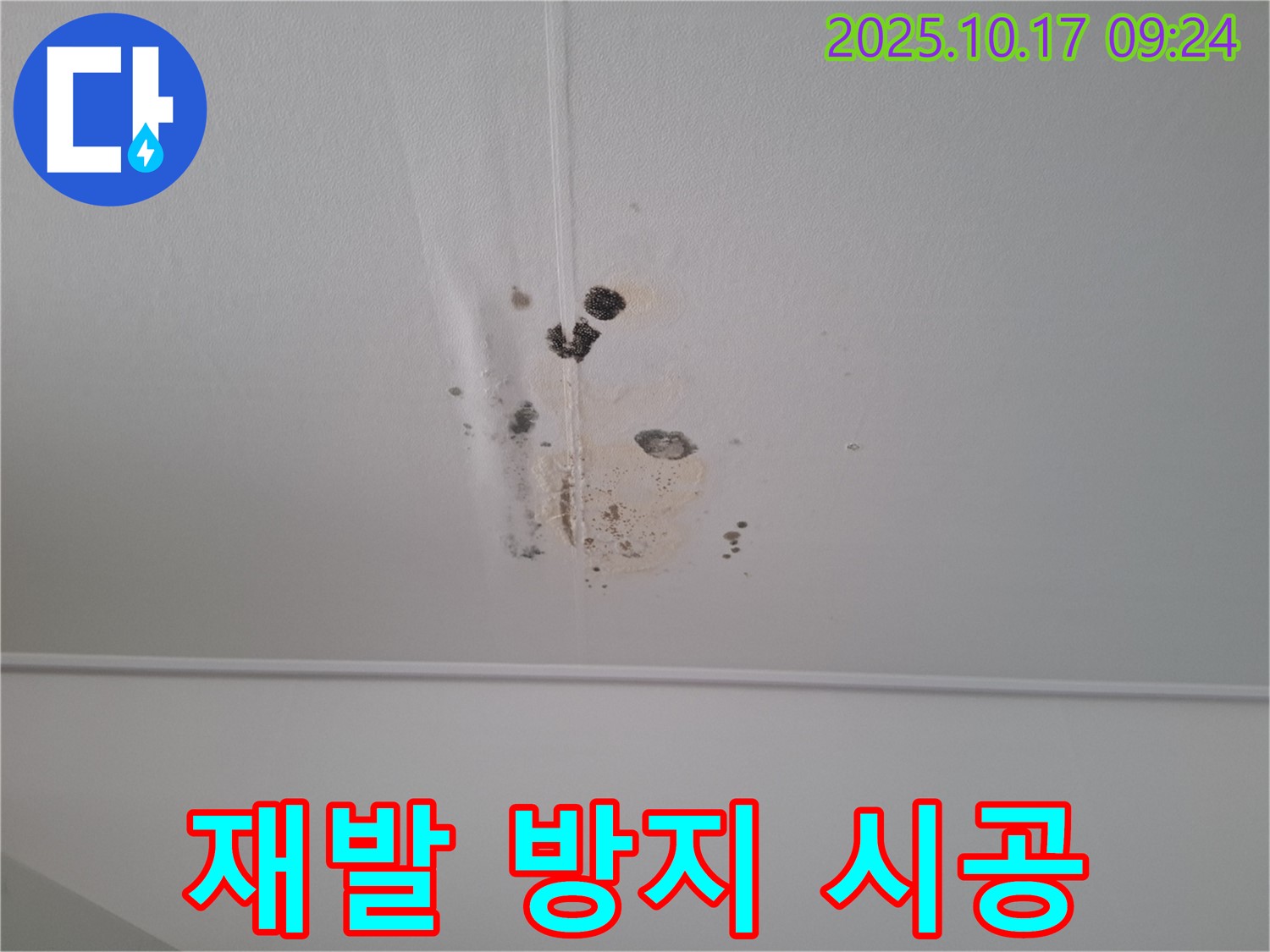 분당 봇들마을 아파트 천장 누수 - 곰팡이 제거 후 재발 방지 시공