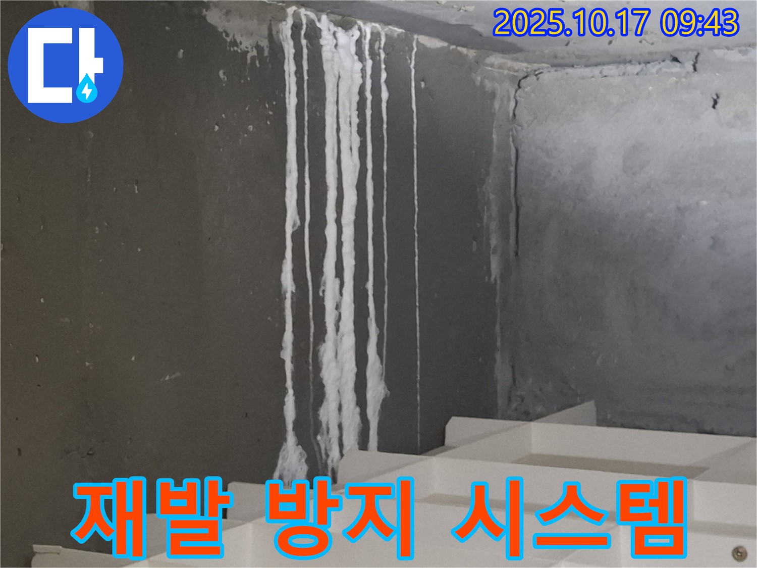 분당 봇들마을2단지 아파트 계단 석회수 누출 - 누수 재발 방지 시스템 완비