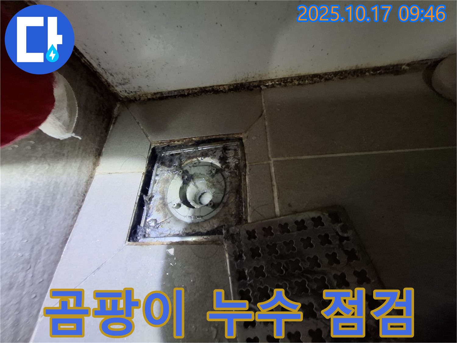 분당 봇들마을2단지 아파트 욕실 배수구 곰팡이와 누수 흔적 발견 - 긴급 점검 - 신속하게 해결해 드립니다.