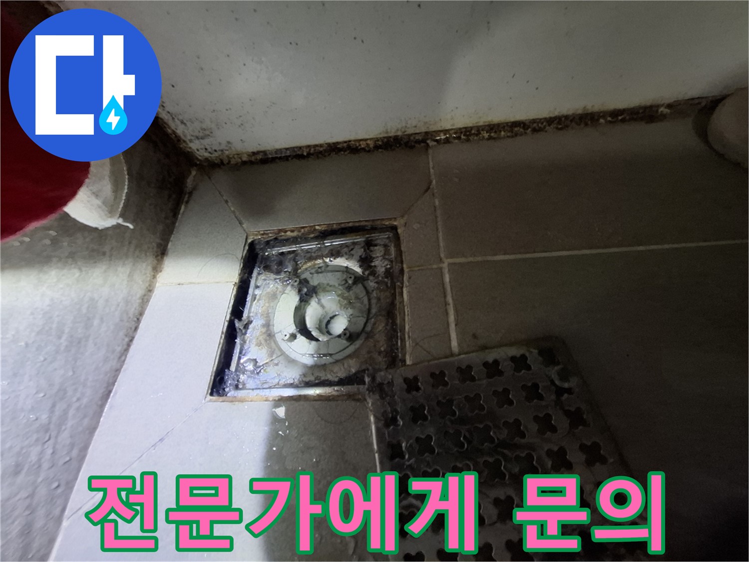 분당 봇들마을2단지 욕실 - 곰팡이, 누수 초기 증상 의심, 전문가 문의