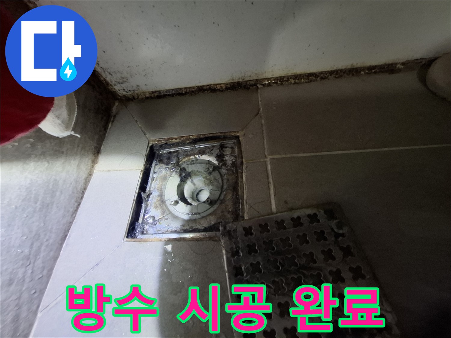 분당 봇들마을2단지 욕실 - 곰팡이 제거 후 완벽한 방수 시공