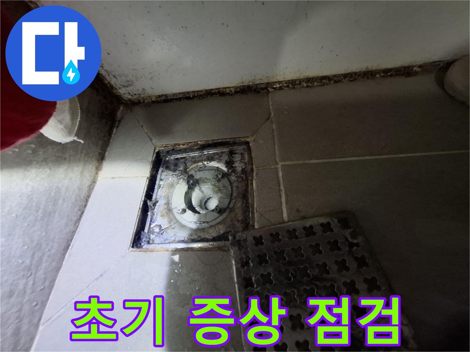 분당 봇들마을2단지 욕실 - 곰팡이는 누수 초기 증상, 서둘러 점검