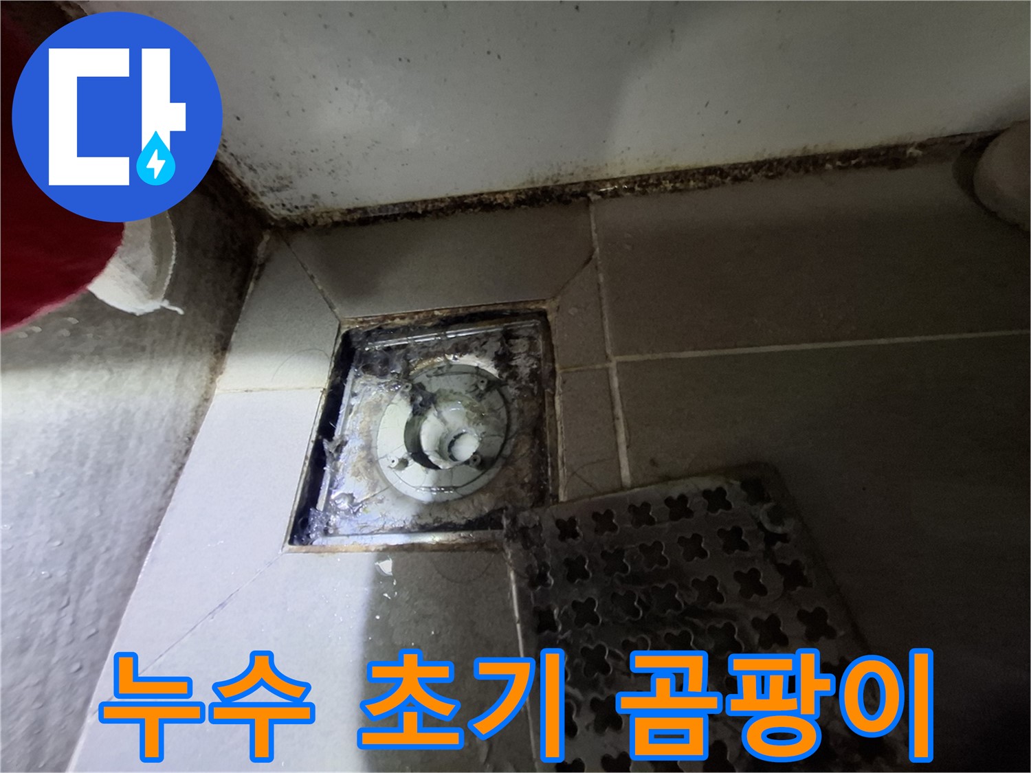분당 봇들마을2단지 욕실 - 곰팡이는 누수의 초기 증상일 수 있습니다.