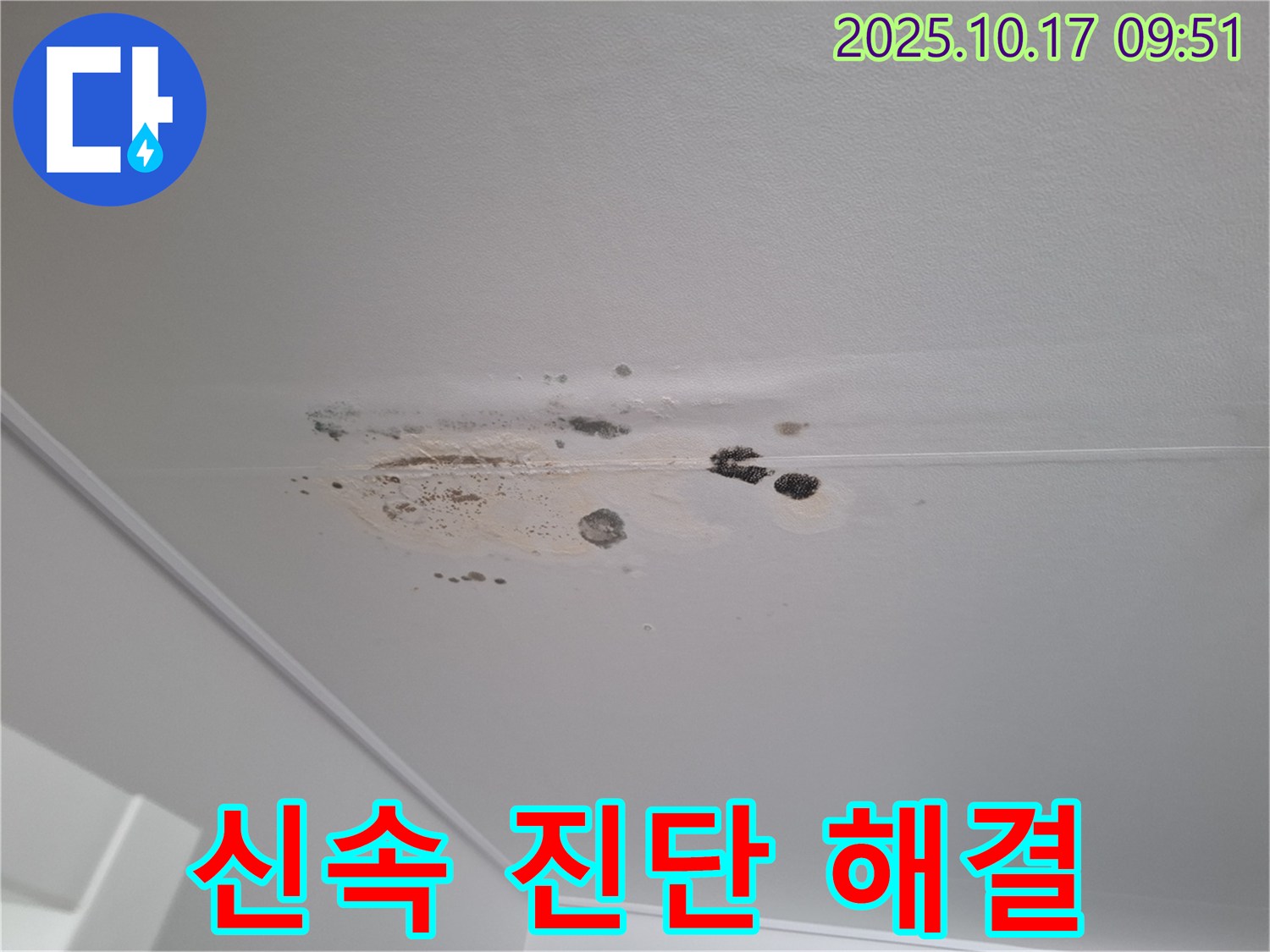 분당 삼평동 누수 - 곰팡이 심한 천장 - 신속한 진단과 맞춤 해결책 제시