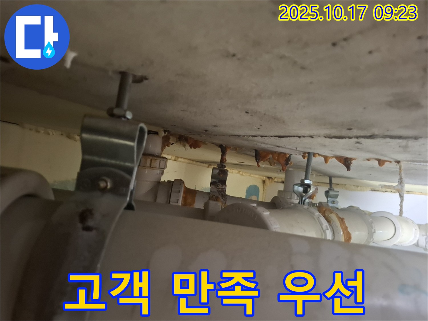 분당 삼평동 봇들마을 206동 아파트 - 고객 만족을 최우선으로 생각하는 누수 전문가